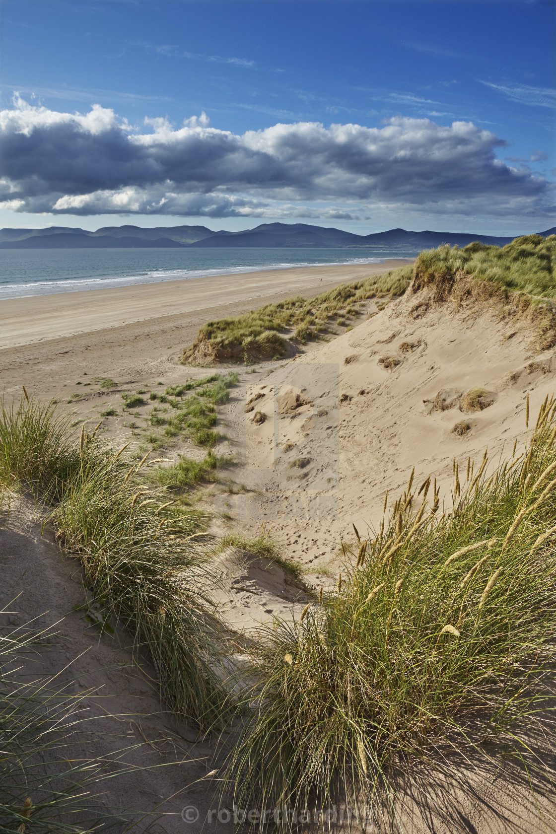 Image result for kerry ireland sand dunes