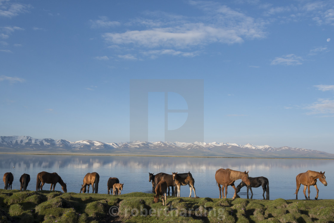 "Lake Song-KÃ¶l. Kyrgyzstan. Central asia." stock image