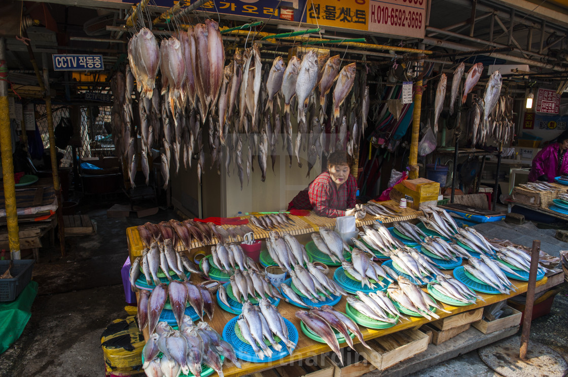 "Fish for sale in the fish market of Busan, South Korea, Asia" stock image