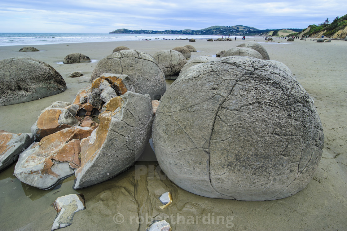 Moeraki Boulders Koekohe Beach South Island New Zealand License Download Or Print For 79 84 Photos Picfair