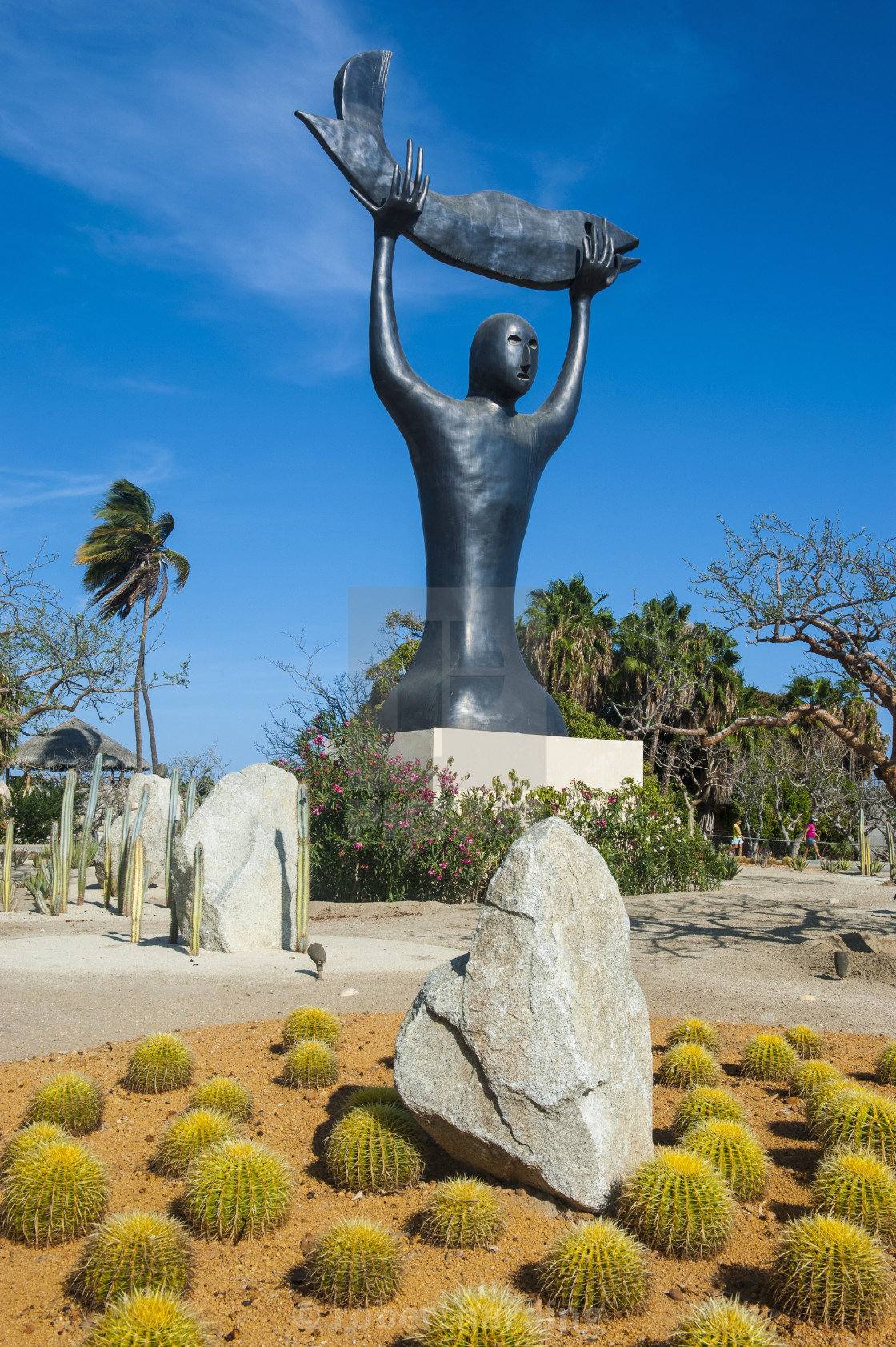 Modern Statue In Puerto Los Cabos Part Of San Jose Del Cabo Baja License Download Or Print For 79 84 Photos Picfair