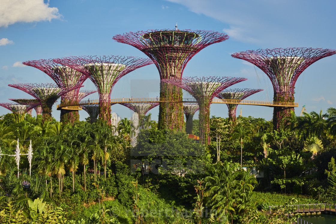Singapore Botanic Gardens Marina Bay - Photos Cantik