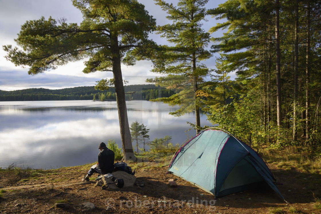 Highland Hiking Trail Algonquin Camp At Provoking Lake West, Highland Backpacking Trail, Algonquin  Provincial... - License, Download Or Print For £49.50 | Photos | Picfair