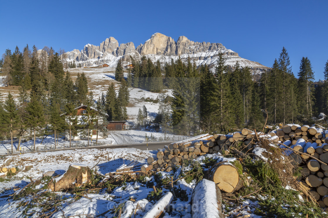 View Of Timber Logs And Mountains At Carazza In Winter Province