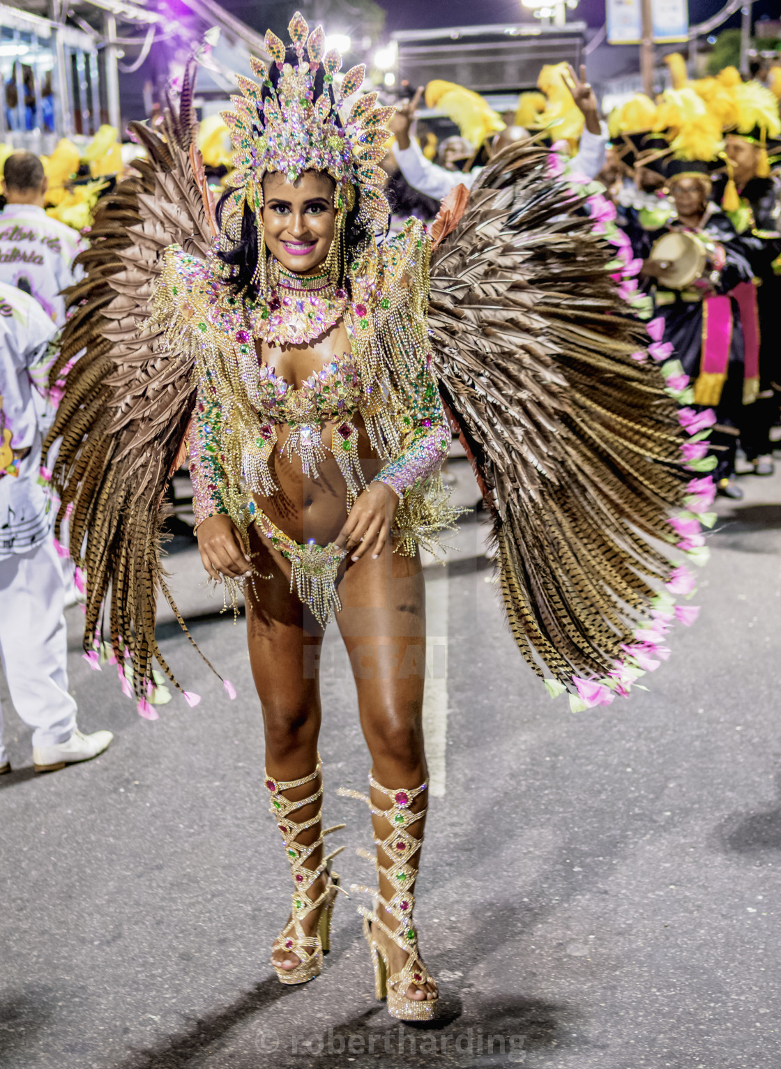 Samba Dancer At The Carnival Parade In Rio De Janeiro Brazil License Download Or Print For 79 84 Photos Picfair