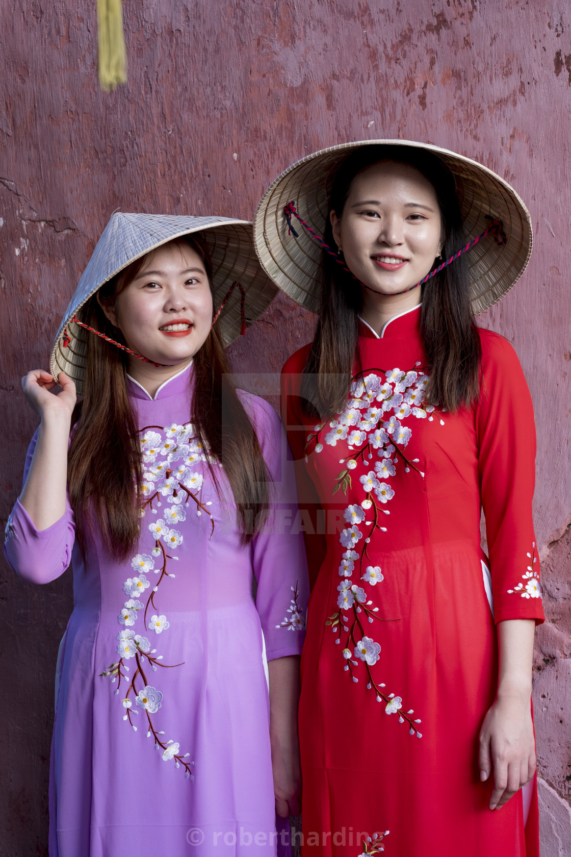 plus size ao dai