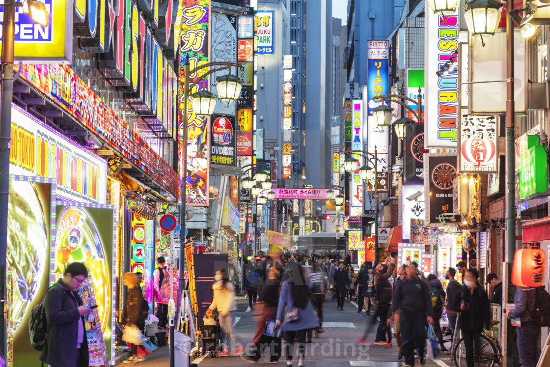 Asia, Japan, Tokyo, Shinjuku, Kabukicho neon lit street - License, download  or print for £79.84 | Photos | Picfair