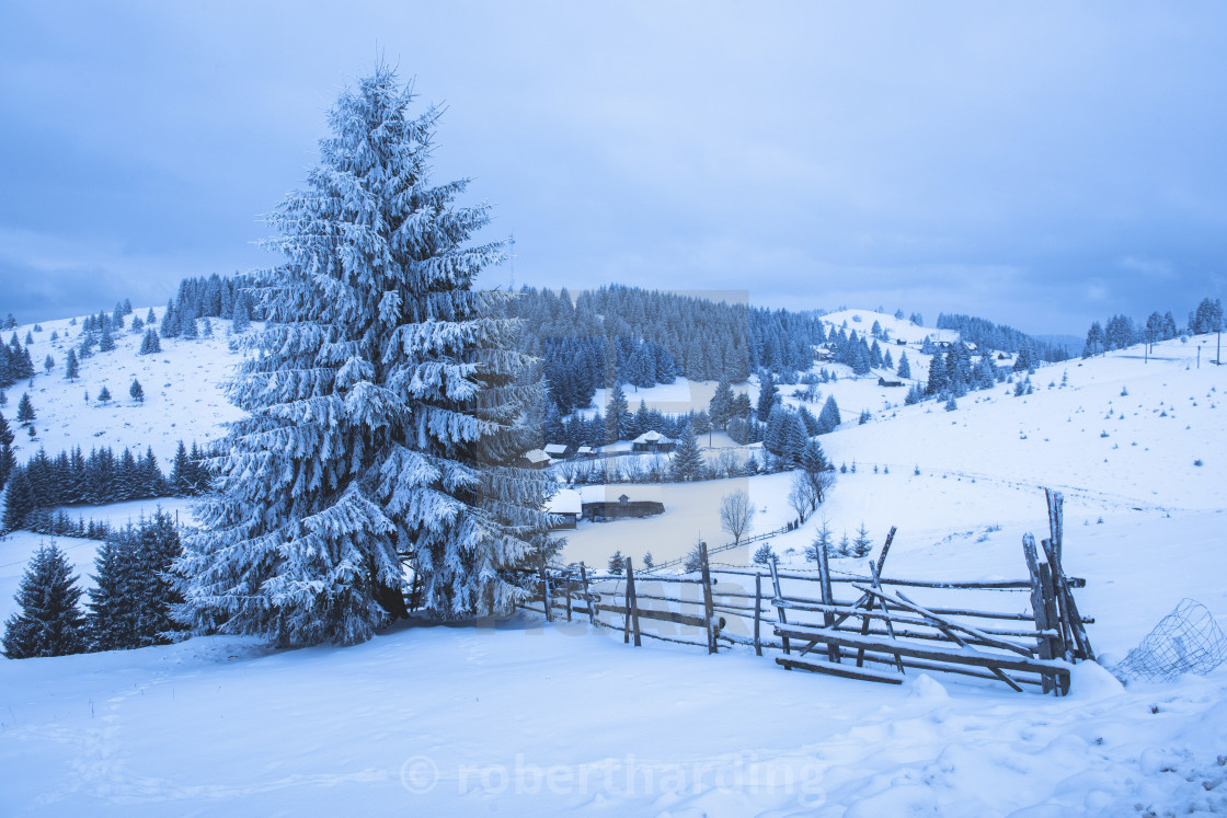 Winter Landscape Near Bran In The Carpathian Mountains Transylvania Romania License Download Or Print For 79 84 Photos Picfair
