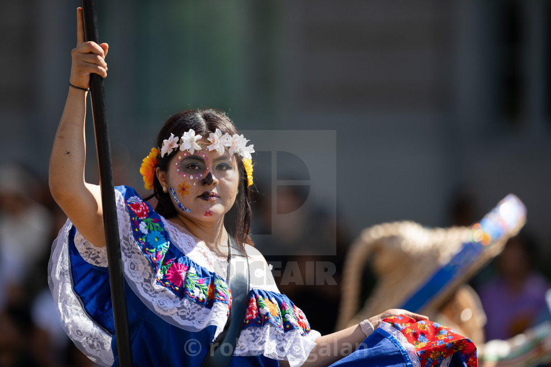 The Fiesta Dc Parade License Download Or Print For 10 00