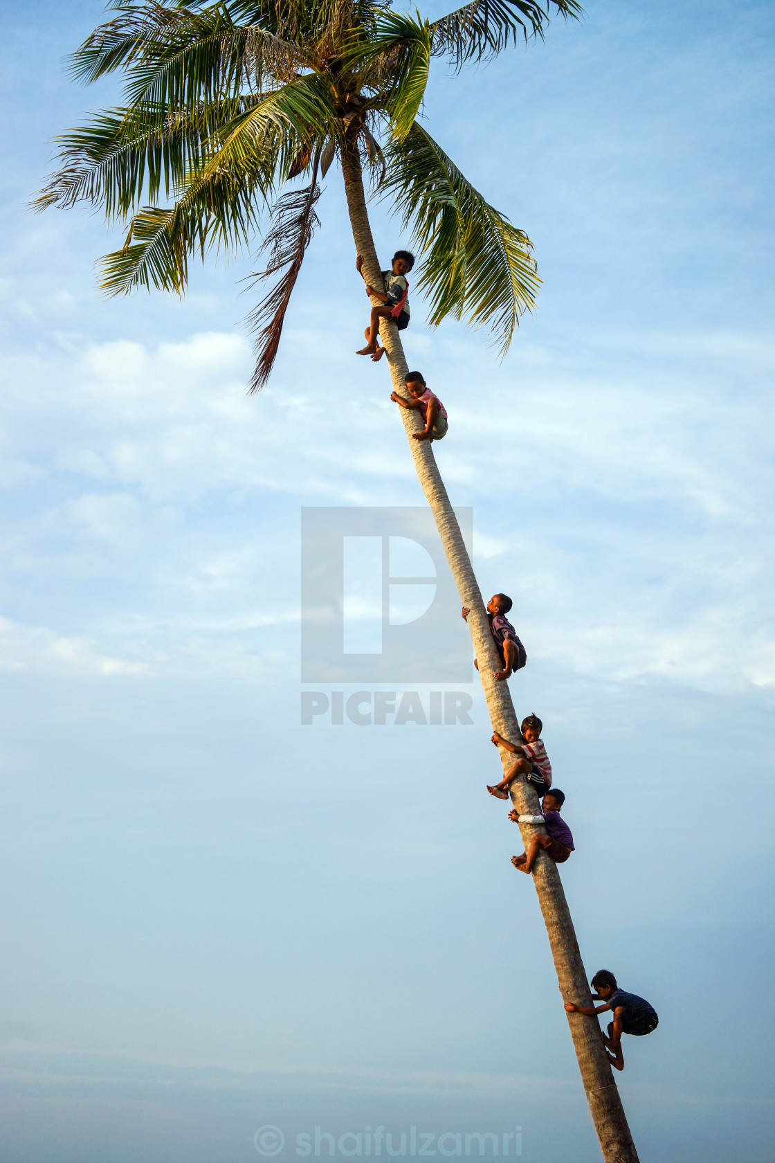 "Cocount Boys" stock image