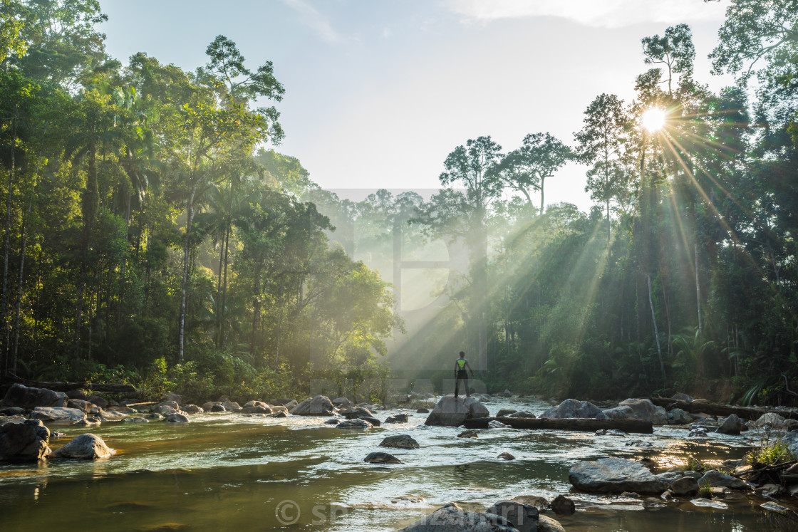 Morning View Of Endau Rompin National Park In Malaysia License Download Or Print For 12 40 Photos Picfair
