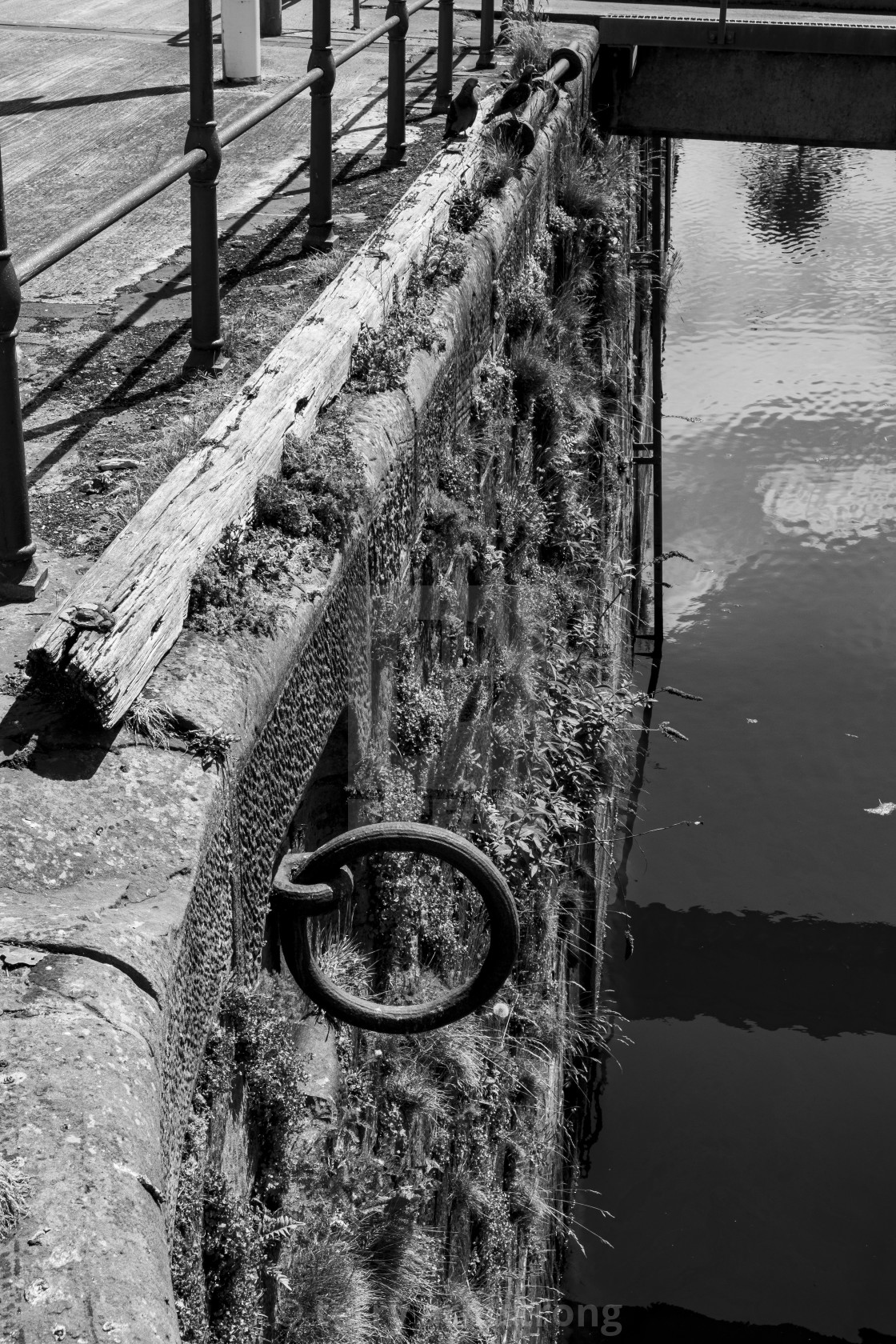 "black and white harbour close up" stock image