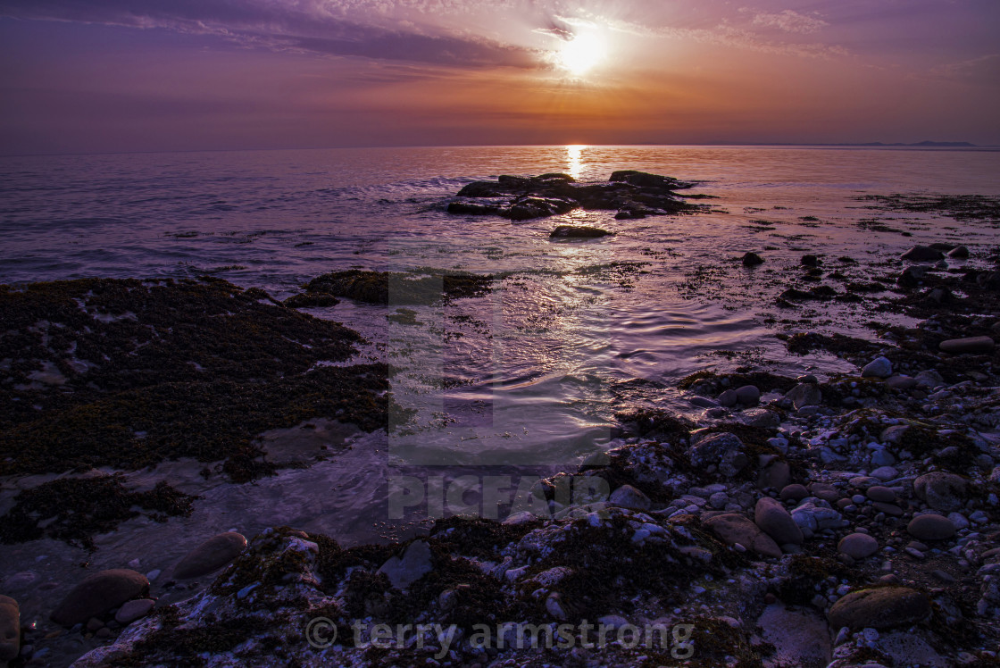 "purple sunset" stock image