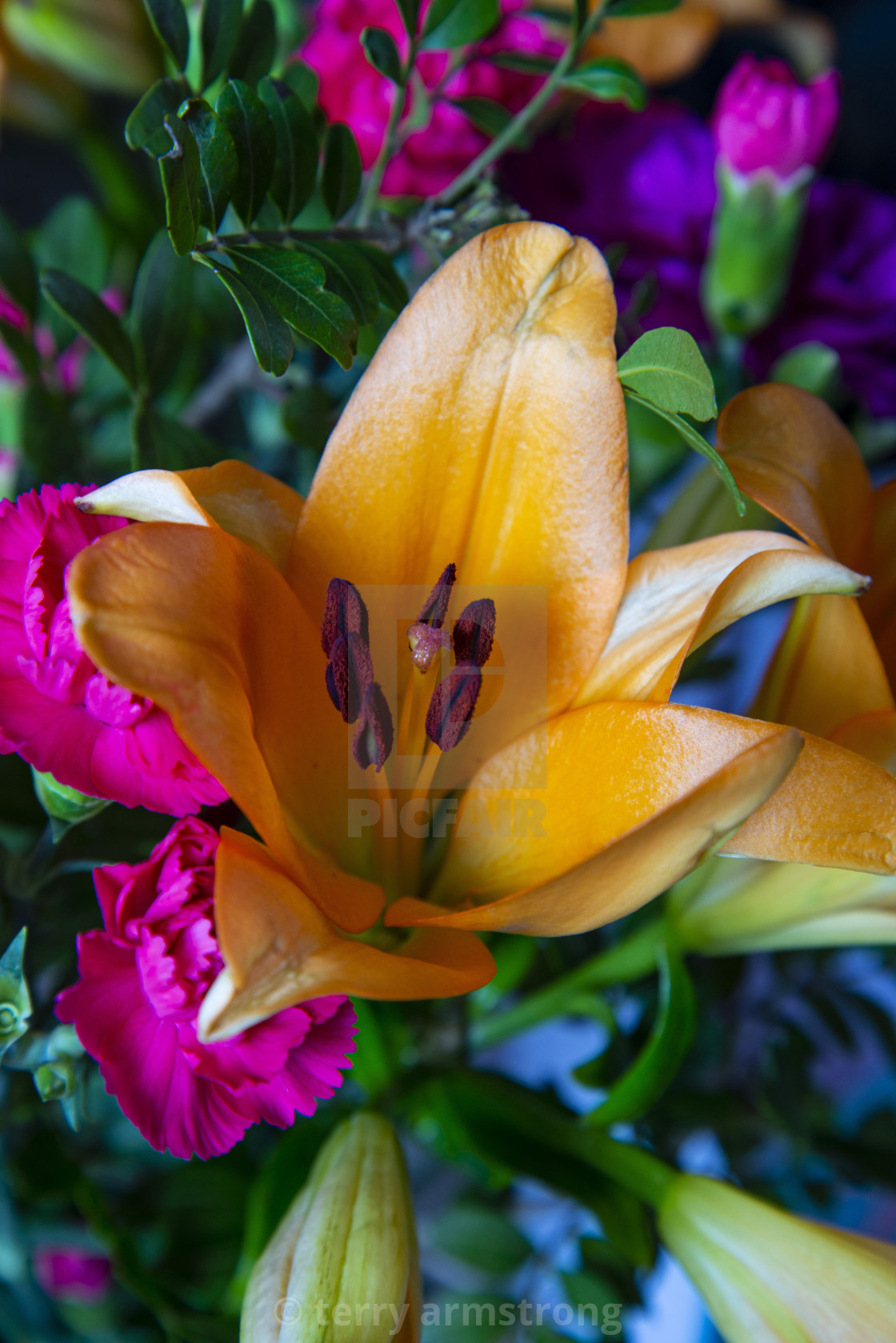 "lilies and carnations" stock image