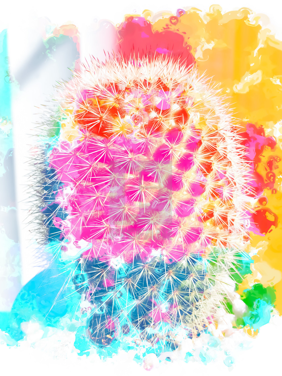 Closeup Cactus With Colorful Painting Abstract In Pink Orange Blue