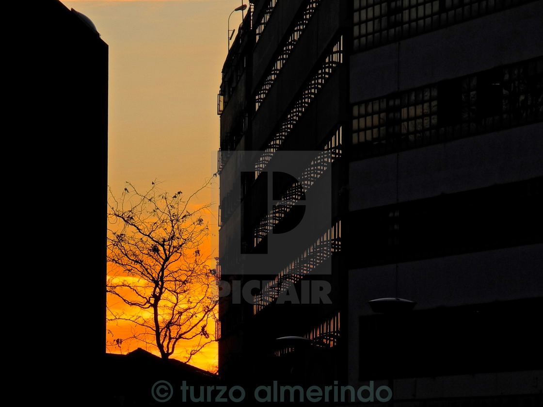 "Sunset with tree" by turzo almerindo - $3.06 "Sunset with tree" stock image