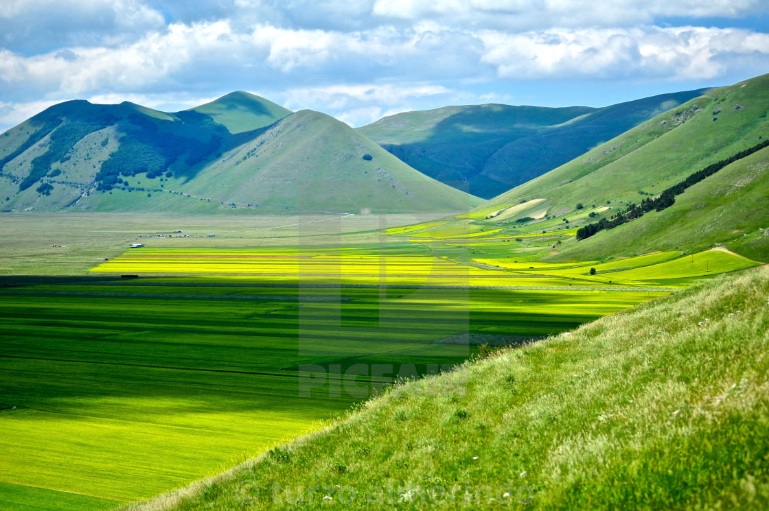 "Piana Grande di Castelluccio" by turzo almerindo - $15.31 "Piana Grande di Castelluccio" stock image