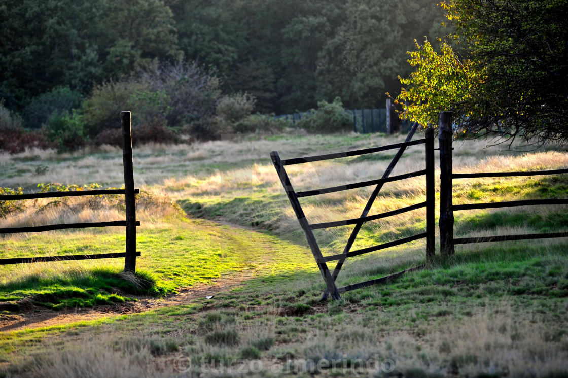 "Gate on the grazing light" by turzo almerindo - $15.31 "Gate on the grazing light" stock image