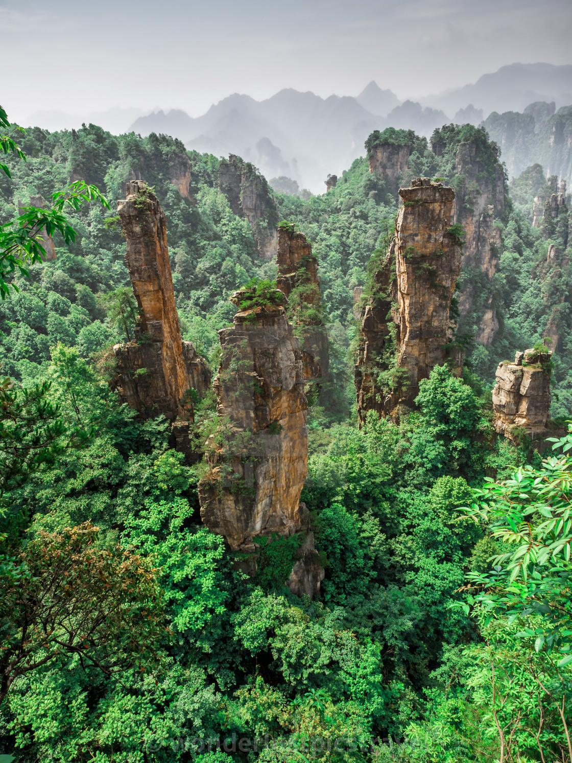 Tianzi Mountain Column Karst At Wulingyuan Scenic Area Zhangjiajie National Forest Park Hunan China License Download Or Print For 24 80 Photos Picfair Tianzi Mountain Column Karst At Wulingyuan Scenic Area Zhangjiajie National Forest Park Hunan China License Download Or Print For 24 80 Photos Picfair