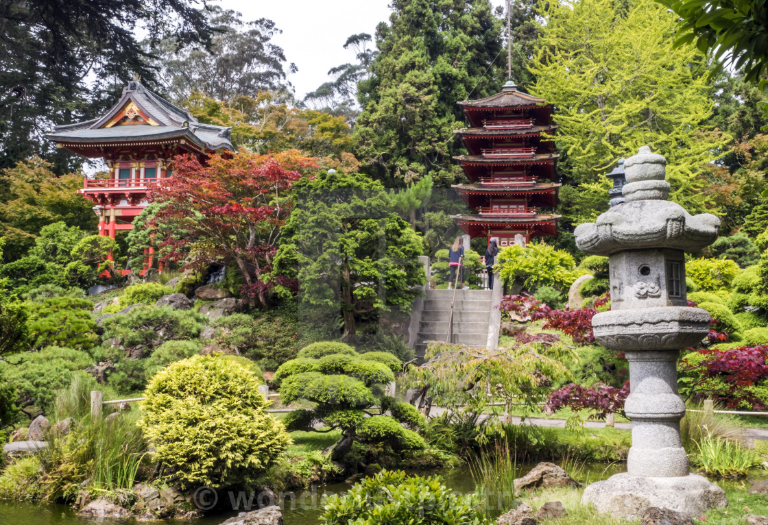 Japanese Tea Garden Golden Gate Park San Francisco California Ca Usa License Download Or Print For 20 00 Photos Picfair
