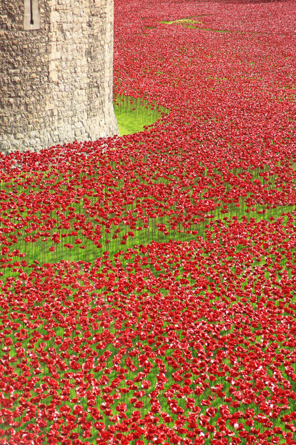 "Blood Swept Lands and Seas of Red" stock image