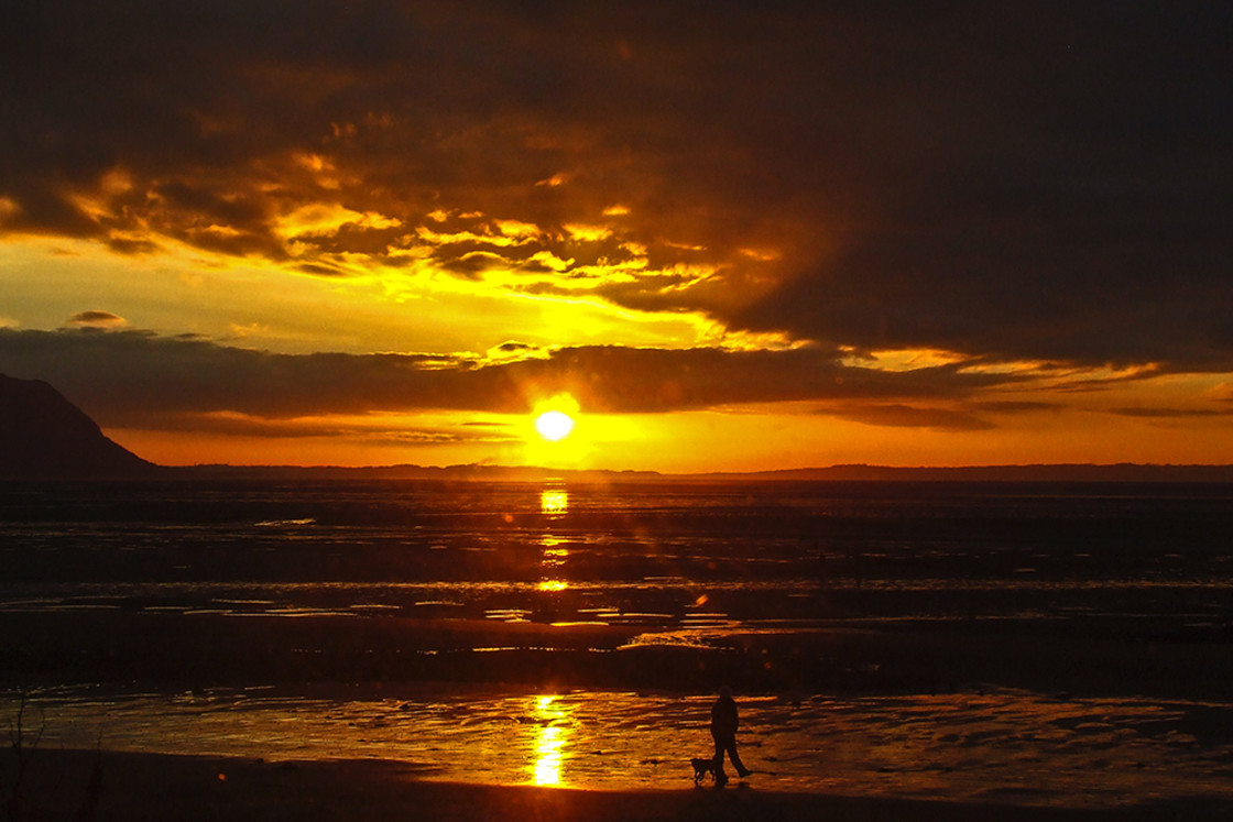 "One man and his Dog at Sunset" stock image