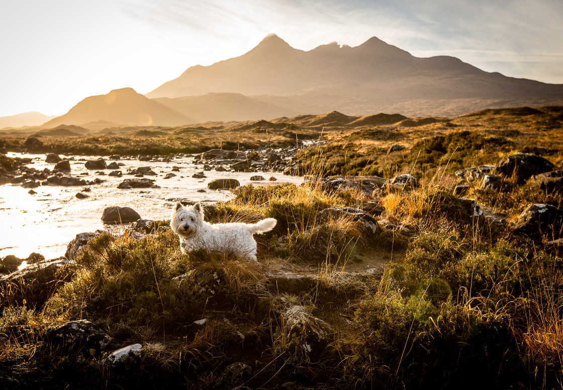 "The Highland Wanderer" stock image