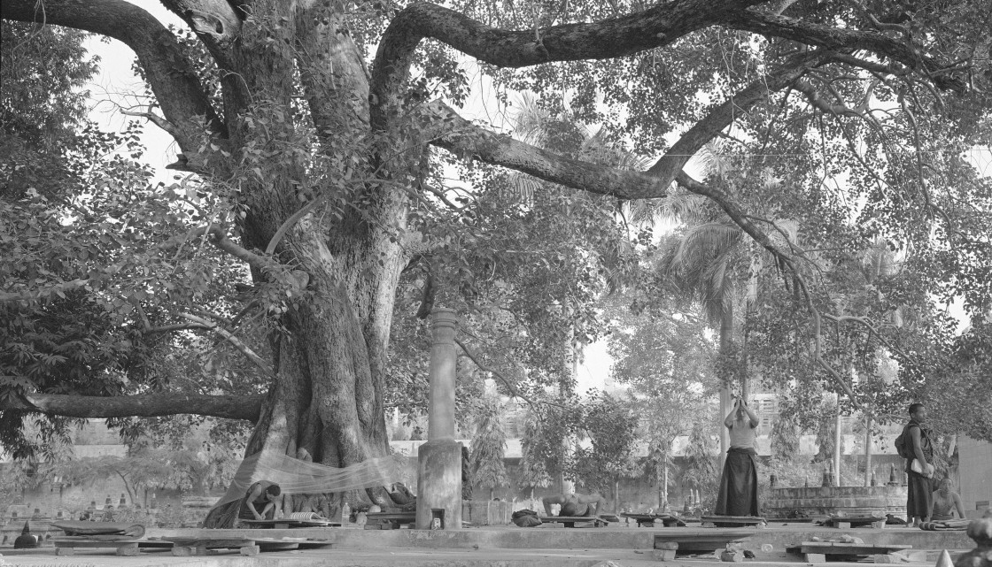 "Prostrators, Mahabodhi Temple, Bodgaya" stock image