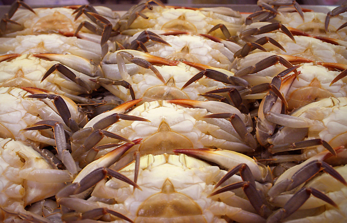 "Crabs" stock image