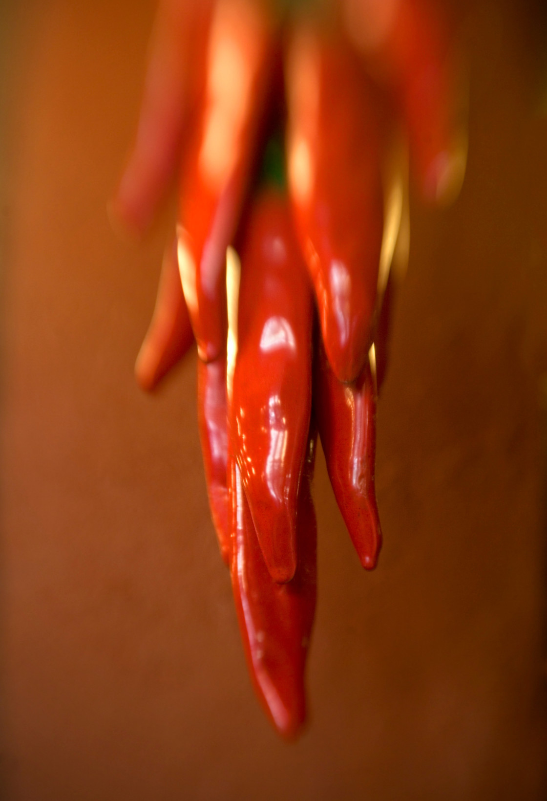 "Hanging red pepper ristra, Mexico" stock image