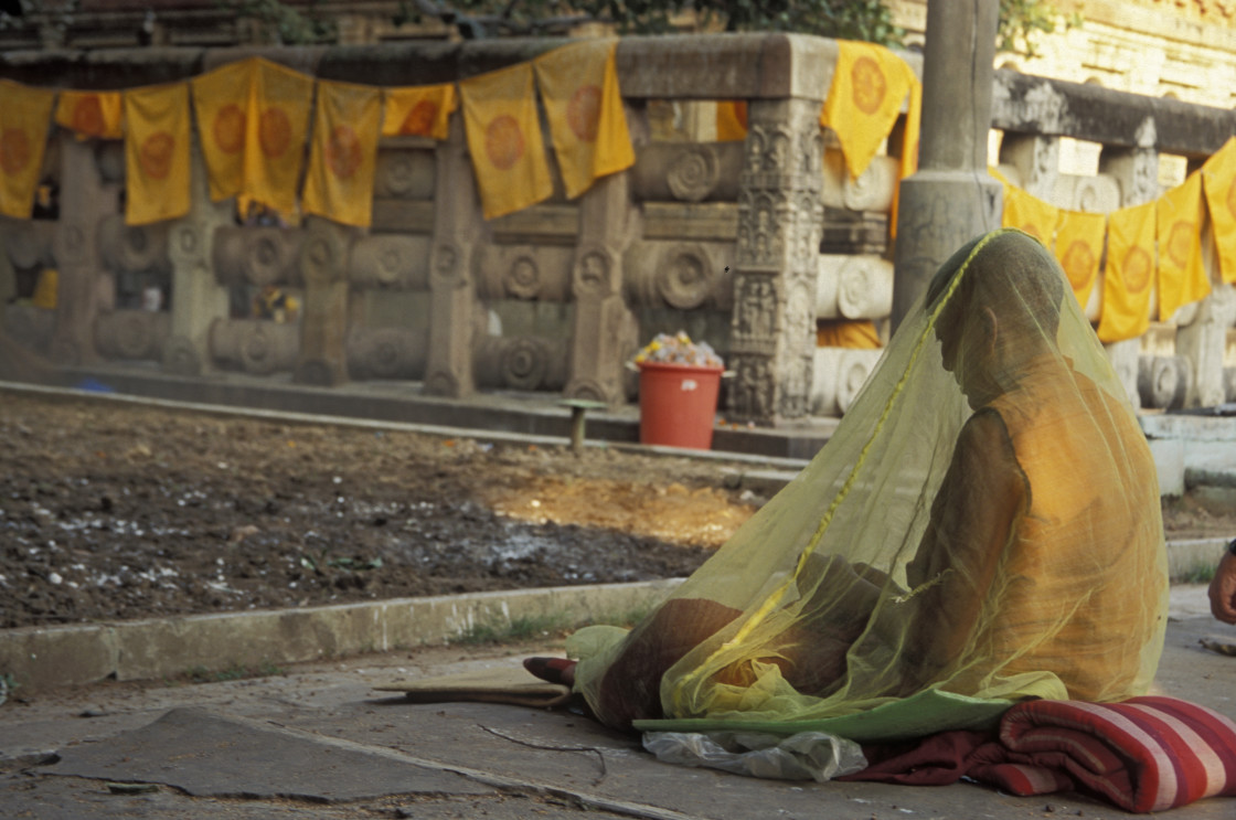 "Nun under net, Bodgaya, India" stock image