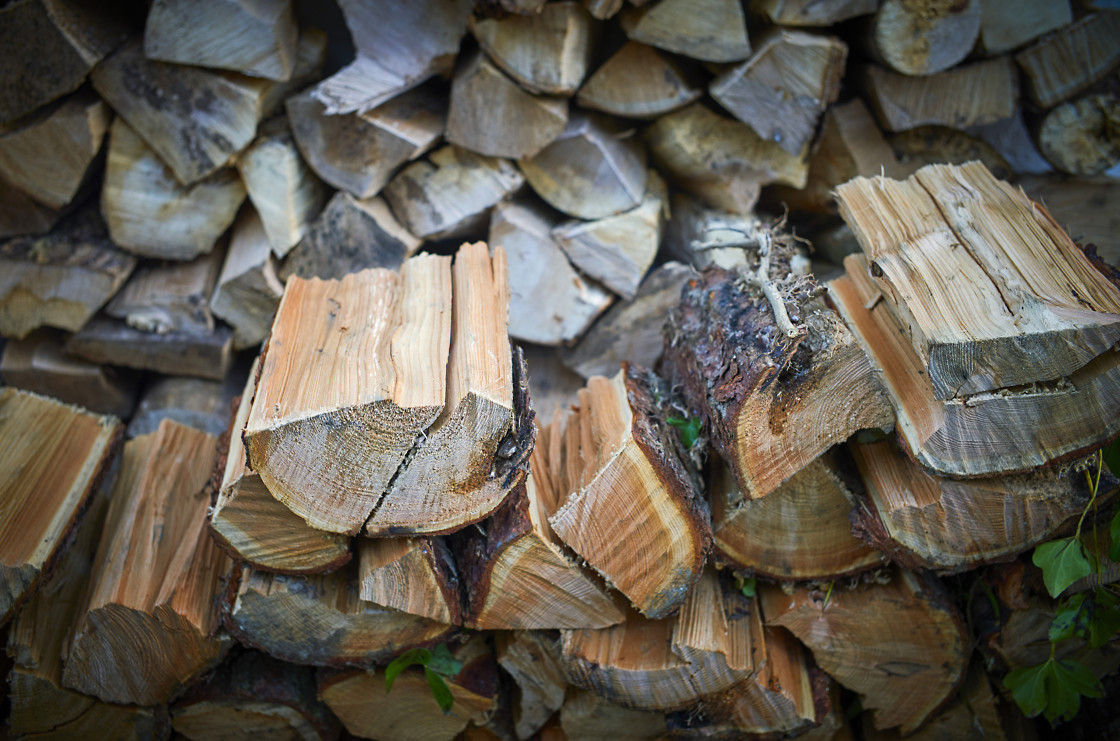 "Split logs for wood fire" stock image