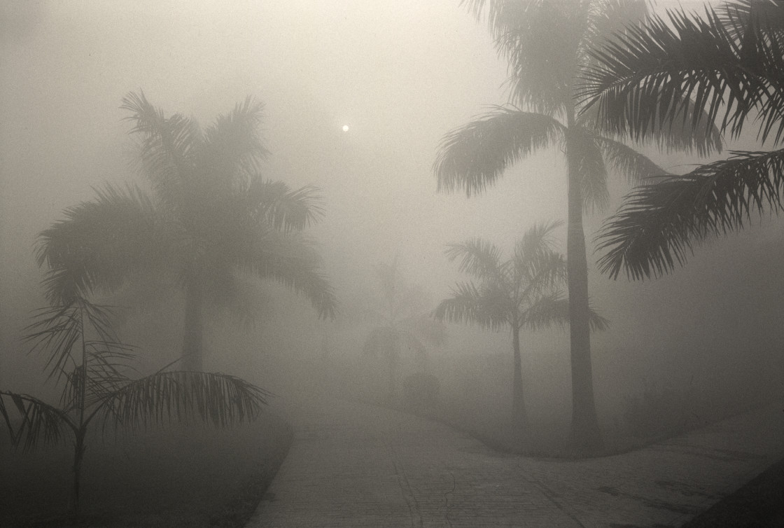 "Path to cremation mound, Kushinagar, India" stock image