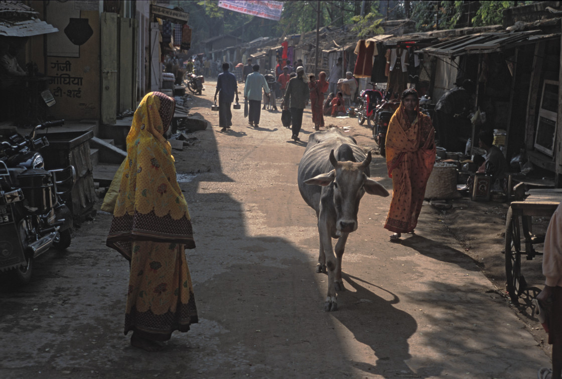 "Market street, Bodgaya" stock image