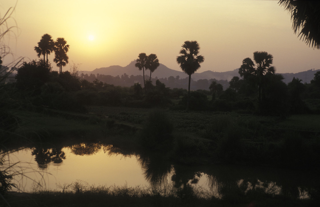 "Sunset near Bodhgaya India" stock image