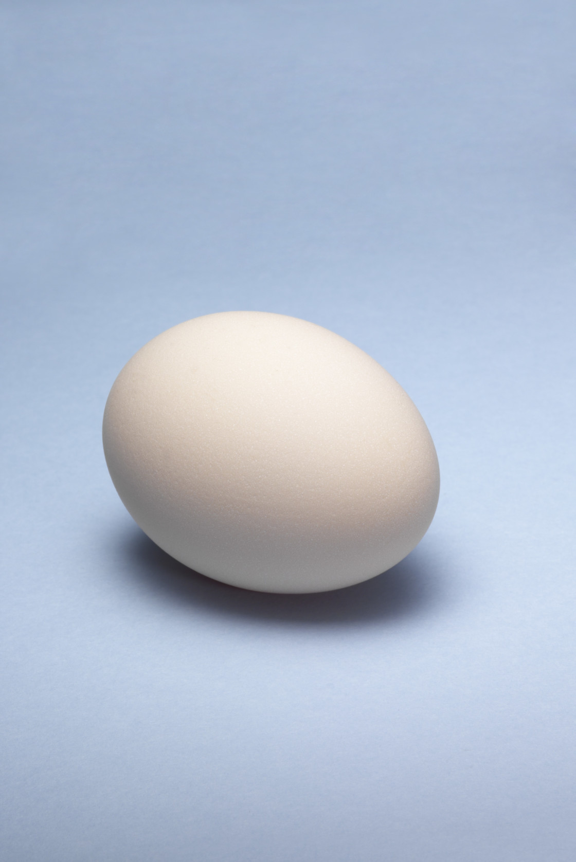 "Pale egg on pale blue background" stock image