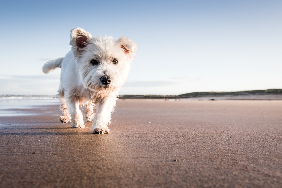 "Coastal Walk" stock image