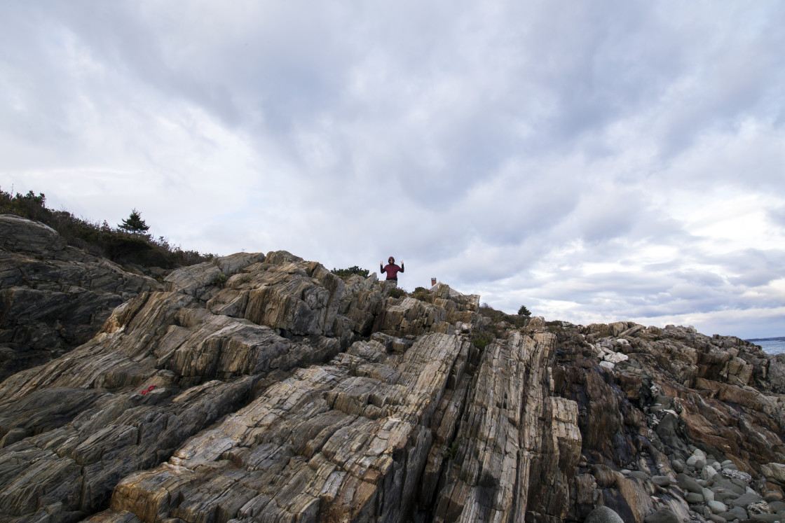 "Bug Creature on the Maine Coast" stock image