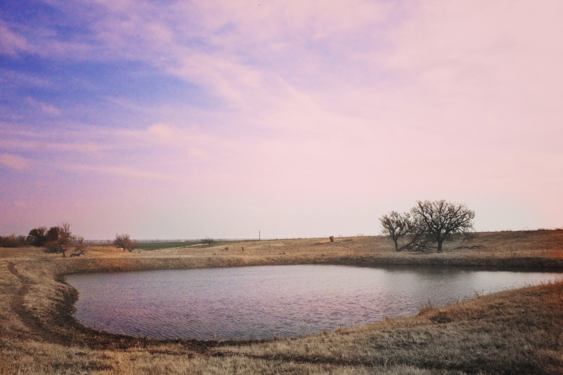 "Bobfinger's Pond" stock image