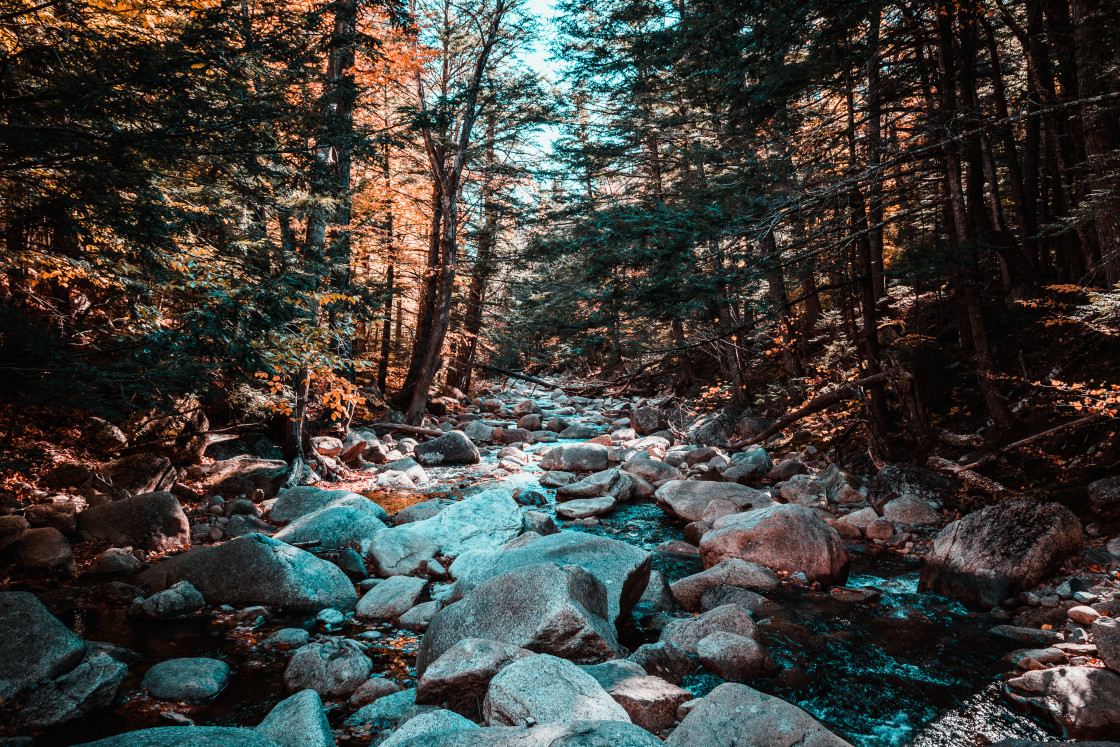 "New England Fall" stock image