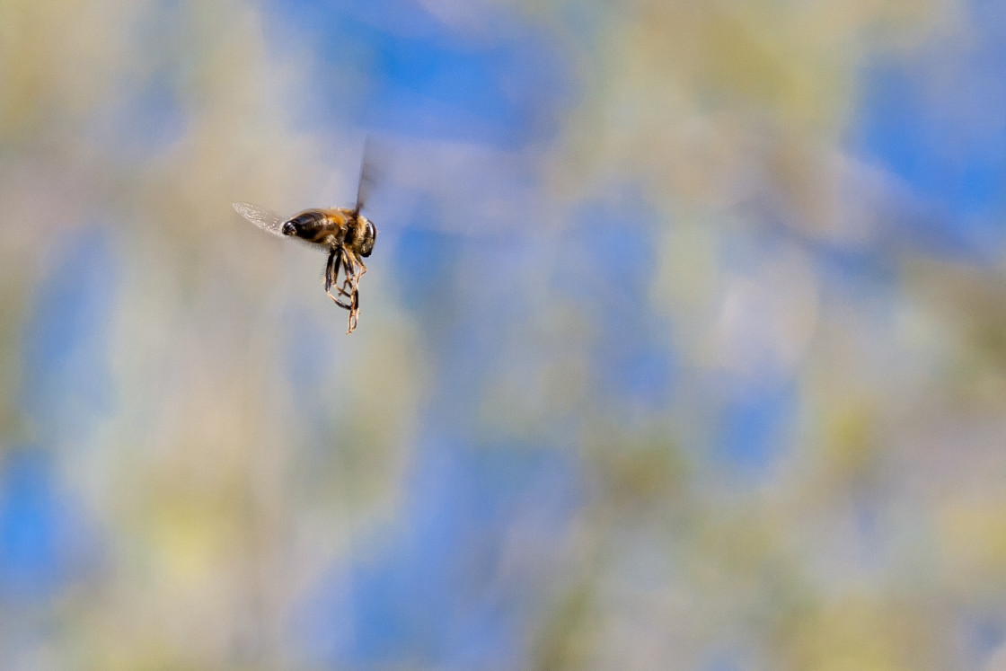 "Drone Fly Hovering" stock image