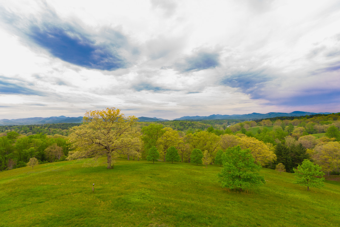 "Pasture scene" stock image