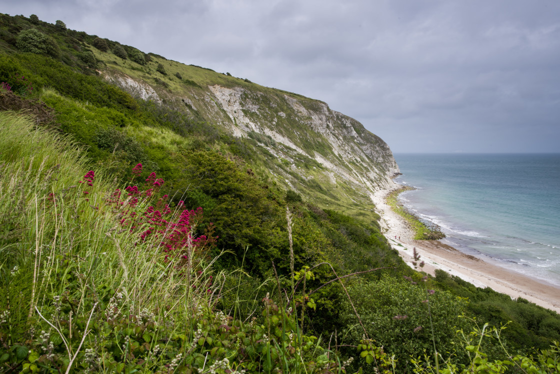 "Ballard Down Cliffs from Swanage Bay" by Gordon England - $12.12 "Ballard Down Cliffs from Swanage Bay" stock image