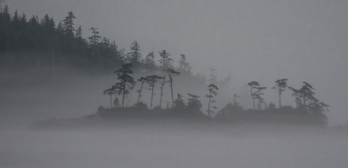 "Alaska in the fog" stock image