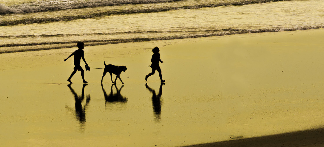 "Children and dog sihouettes at the beach" stock image