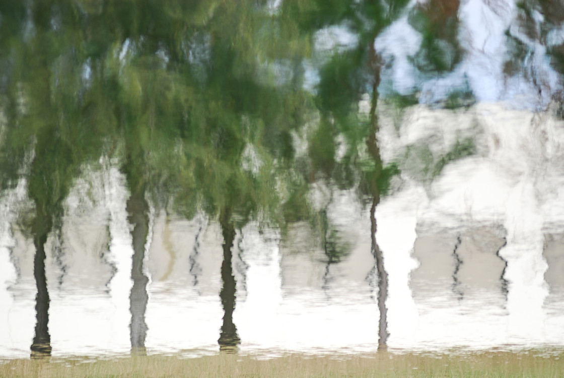 "Tree and building reflections in the water" stock image