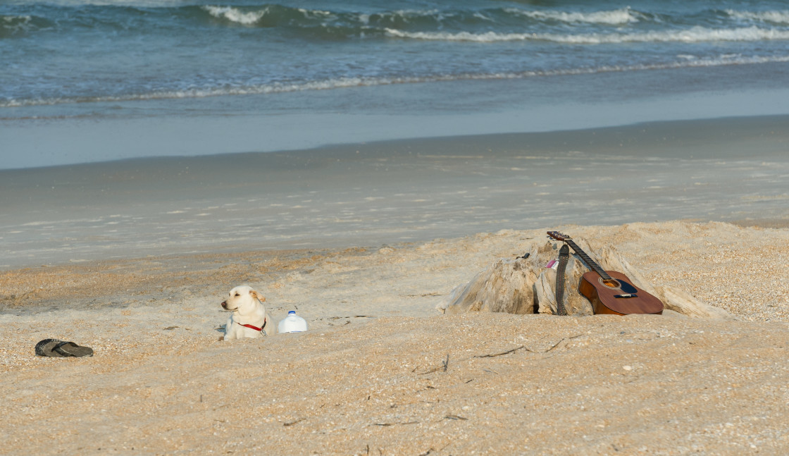 "Dog and guitar at the beach" stock image