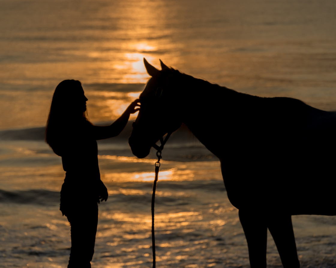 "Woman and horse at the beach" stock image