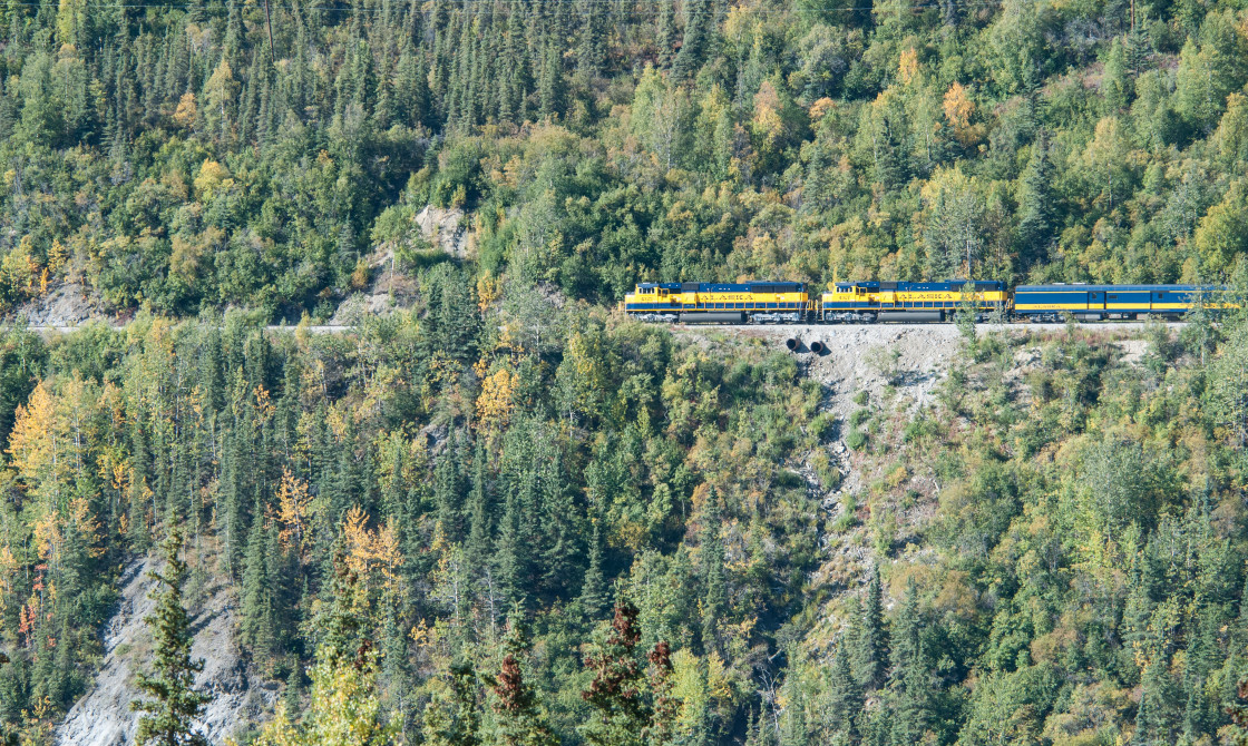 "Alaskan train" stock image