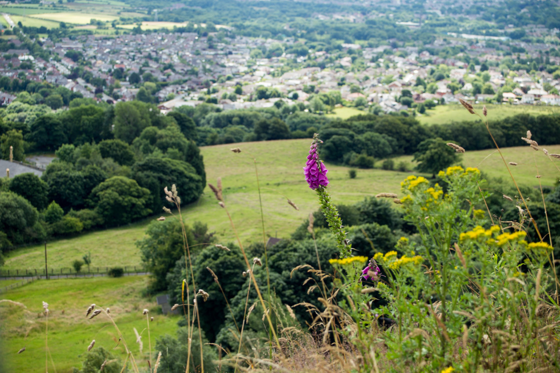 "View from Holcombe Hill" by Gordon England - $12.56 "View from Holcombe Hill" stock image